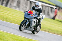 Oulton-Park-14th-March-2020;PJ-Motorsport-Photography-2020;anglesey;brands-hatch;cadwell-park;croft;donington-park;enduro-digital-images;event-digital-images;eventdigitalimages;mallory;no-limits;oulton-park;peter-wileman-photography;racing-digital-images;silverstone;snetterton;trackday-digital-images;trackday-photos;vmcc-banbury-run;welsh-2-day-enduro